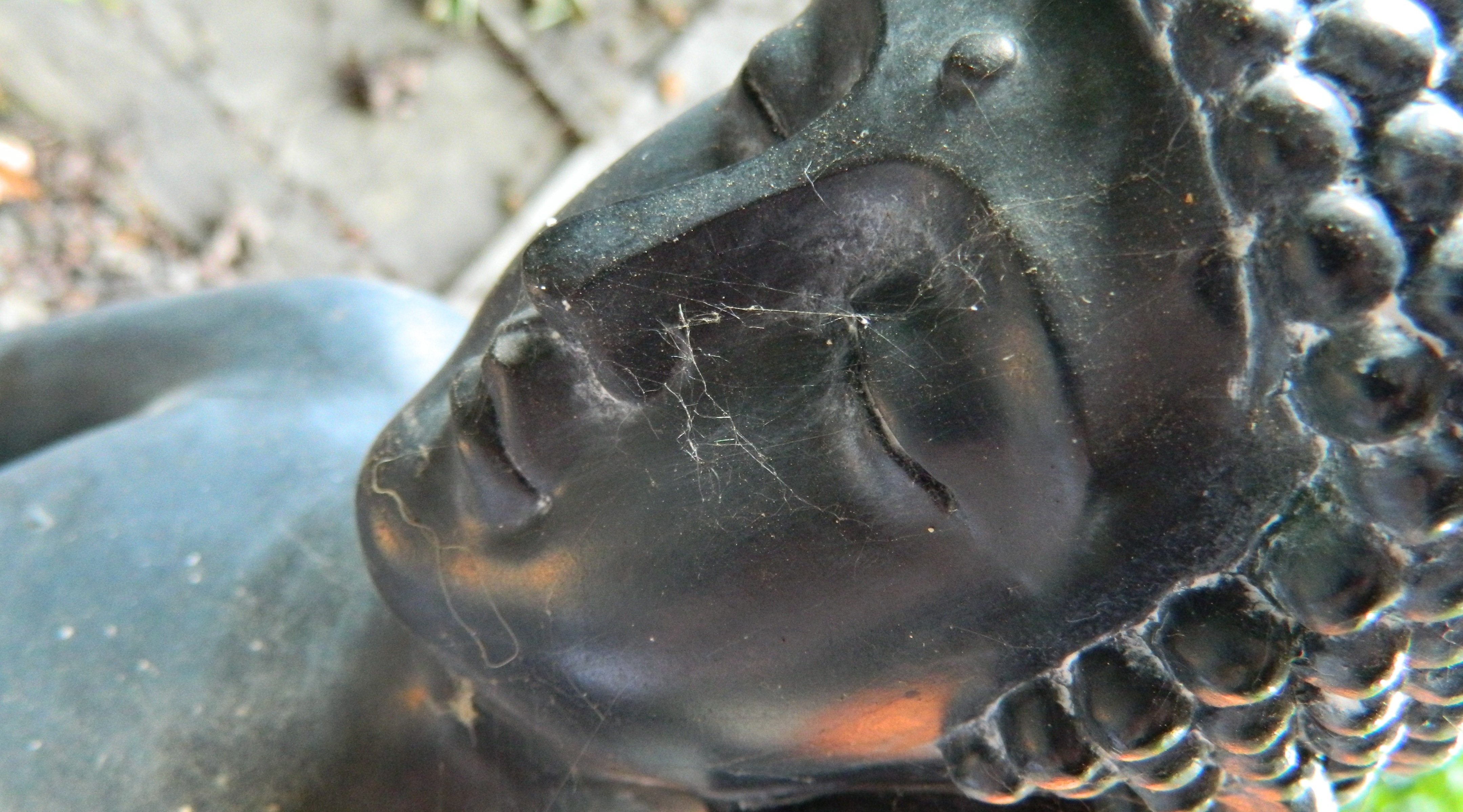 following natalie into the room