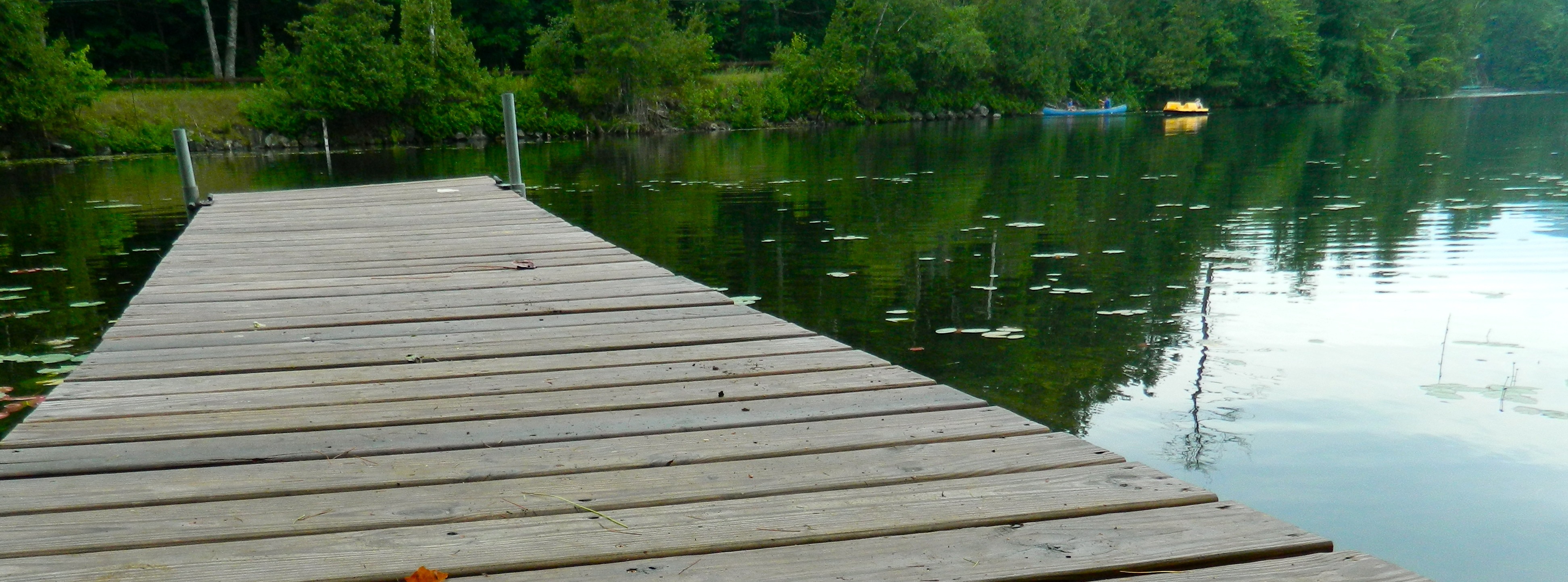 we are poet women: hear us roar!