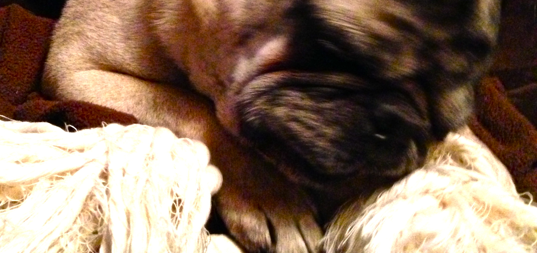 national poetry month: on blogging