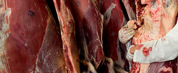 tupelo press 30/30 project: day 06