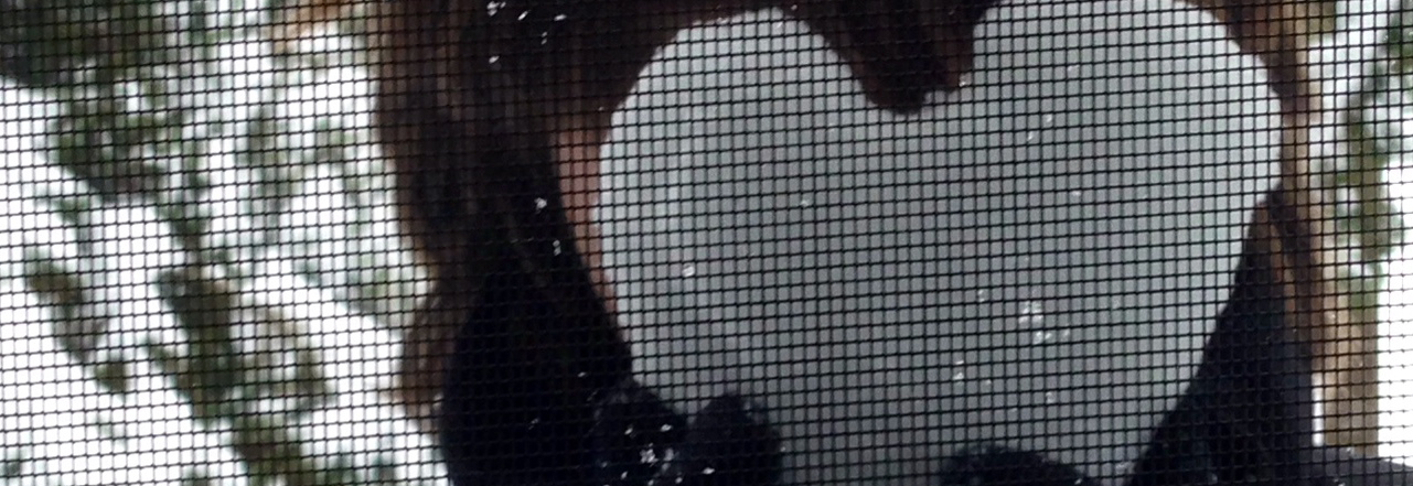 writing (and not writing) about divorce