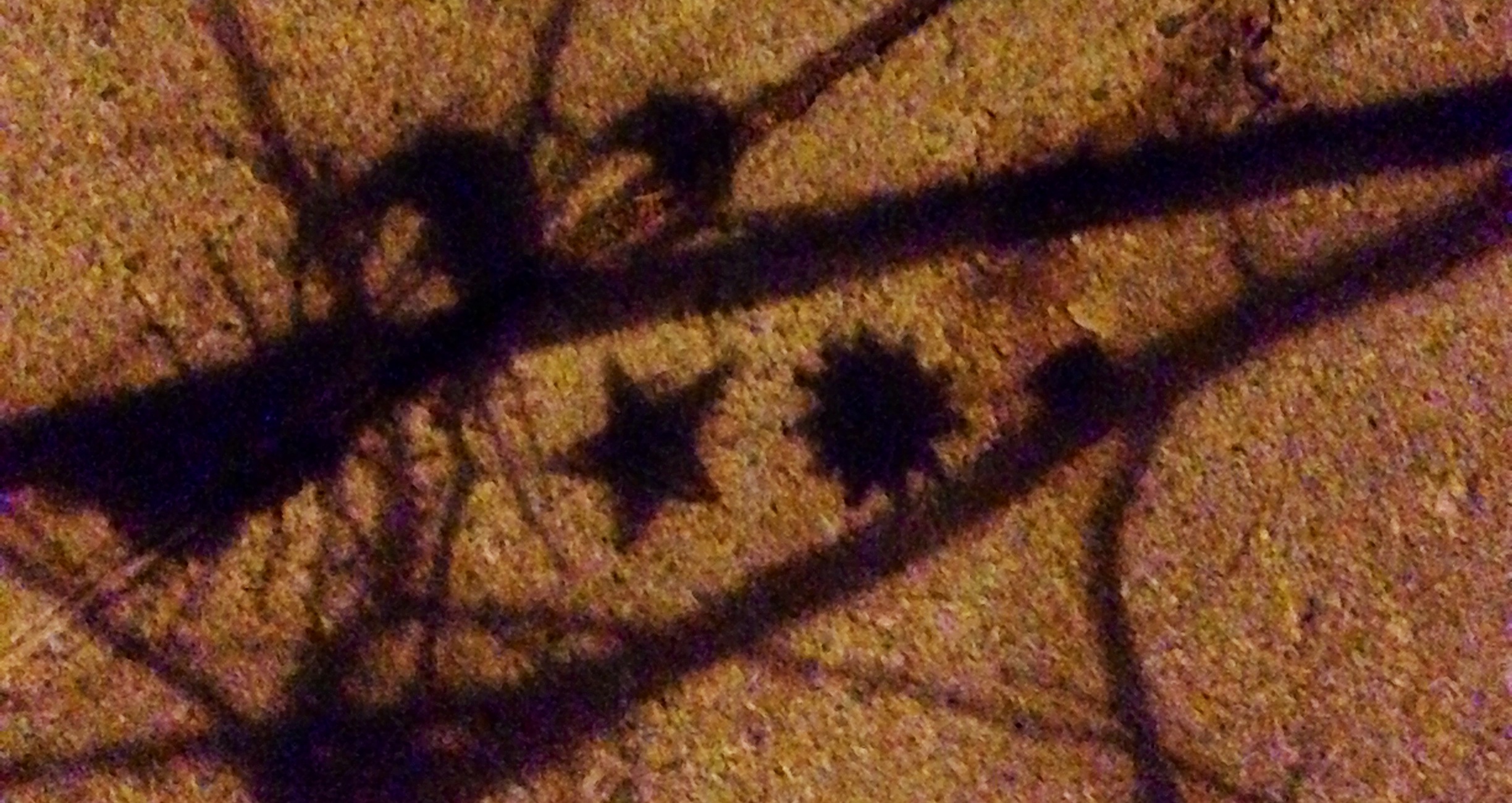 Why I said “no” to the New York Times and “yes” to the Albany Times Union