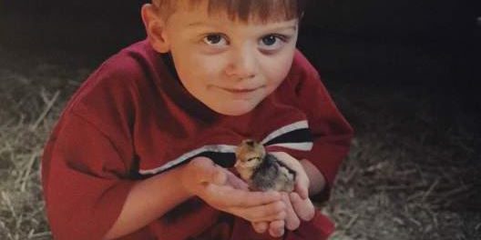 Congrats, Bees: You’re Endangered