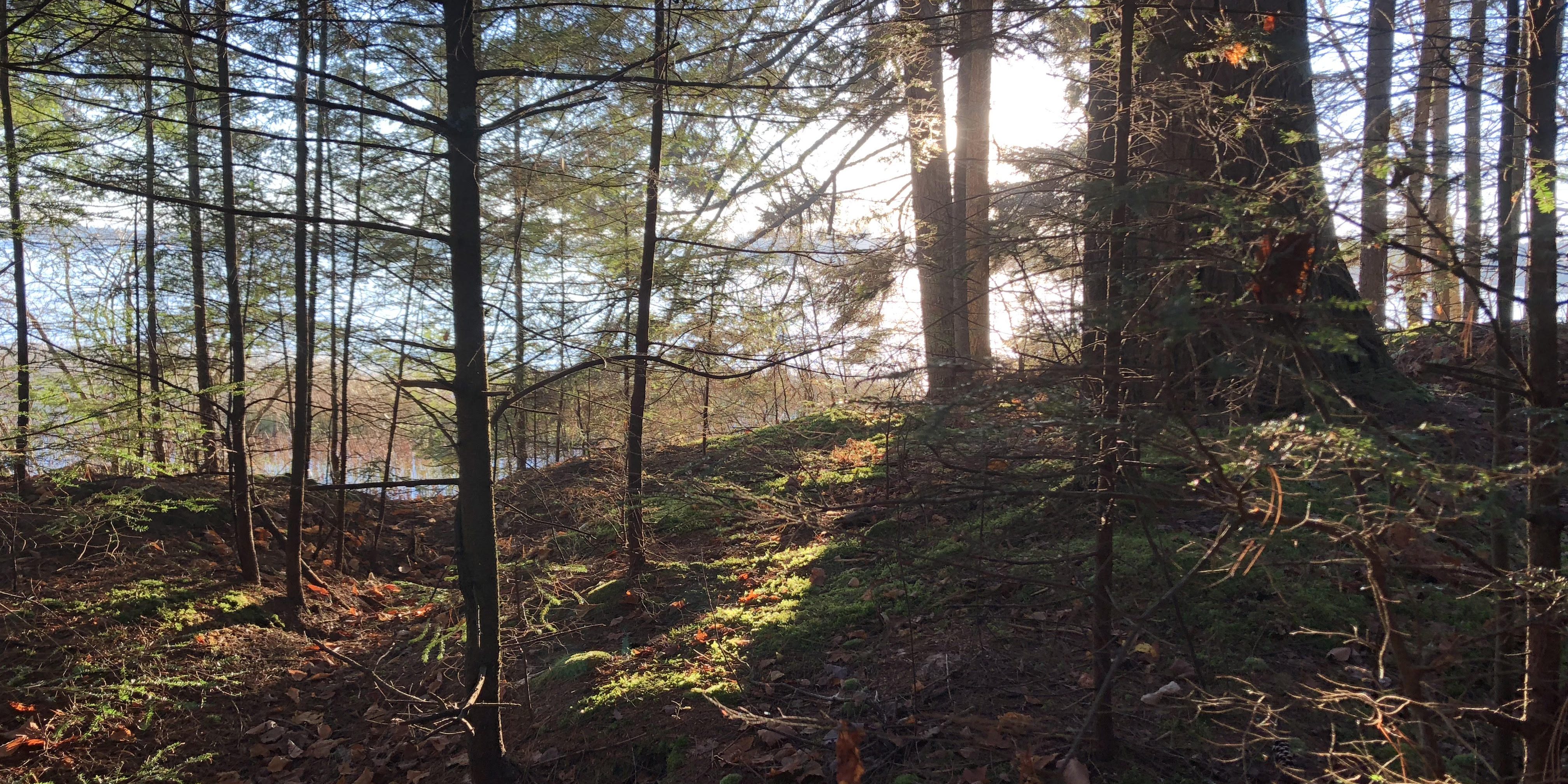 How Do I Start This Day?