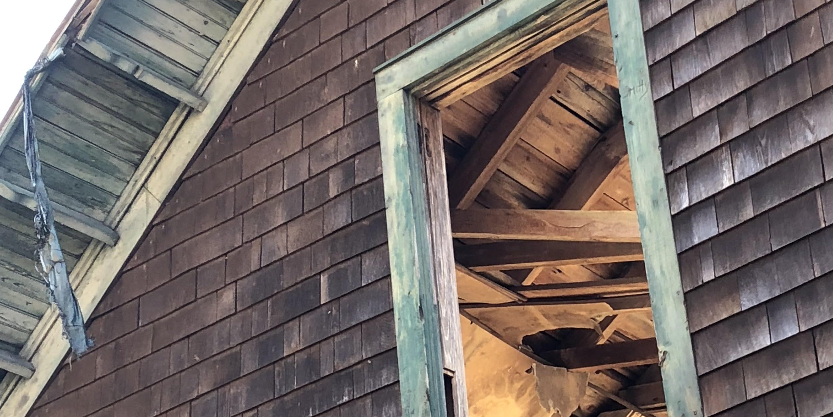 Connection as Magnificent & Treacherous Wilderness