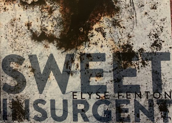 Reading Notes on “Sweet Insurgent” by Elyse Fenton