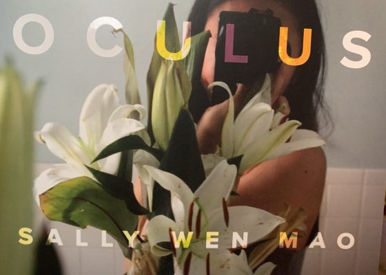 Reading Notes on “Oculus” by Sally Wen Mao