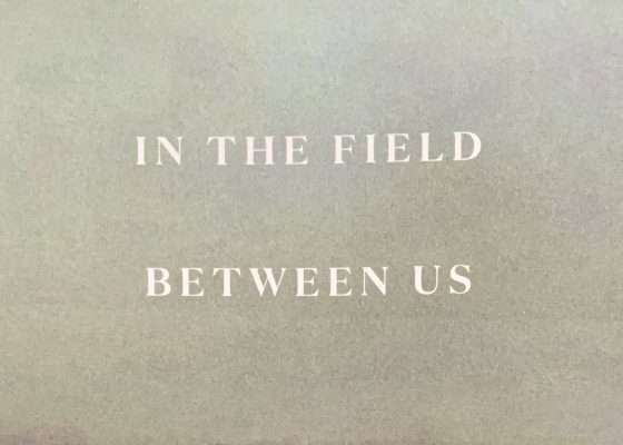 Reading Notes on “In the Field Between Us” by Molly McCully Brown & Susannah Nevison