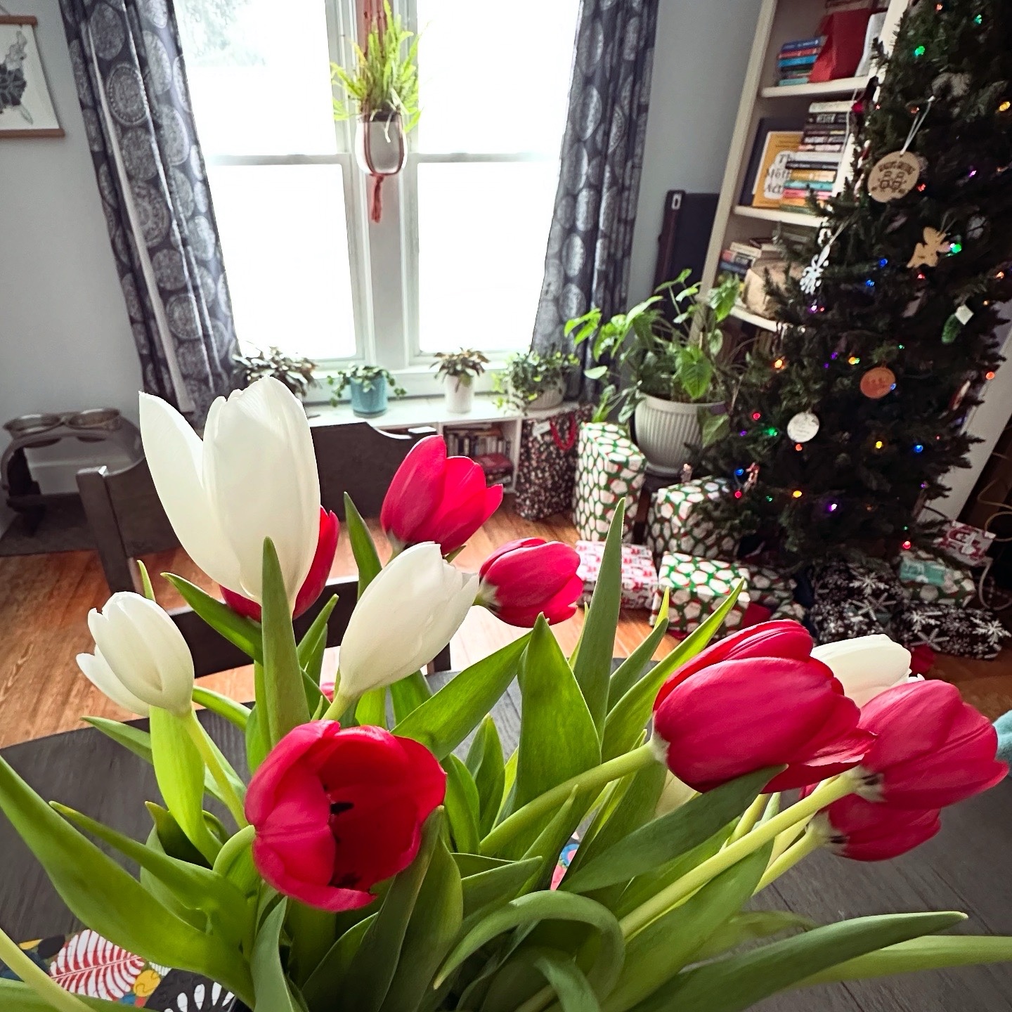 “Someday I’ll Love” Poems After a Line by Frank O’Hara