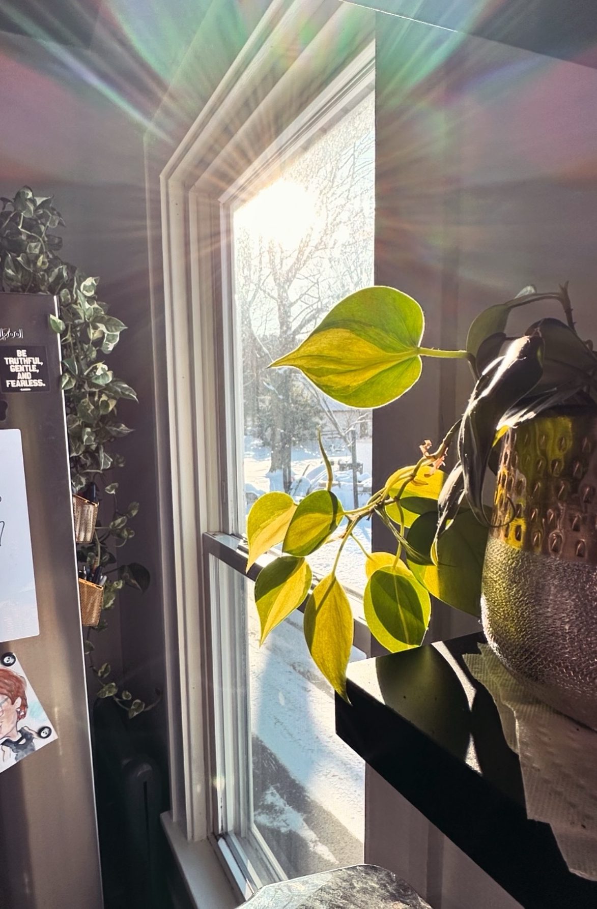 “February’s Blue Edge”