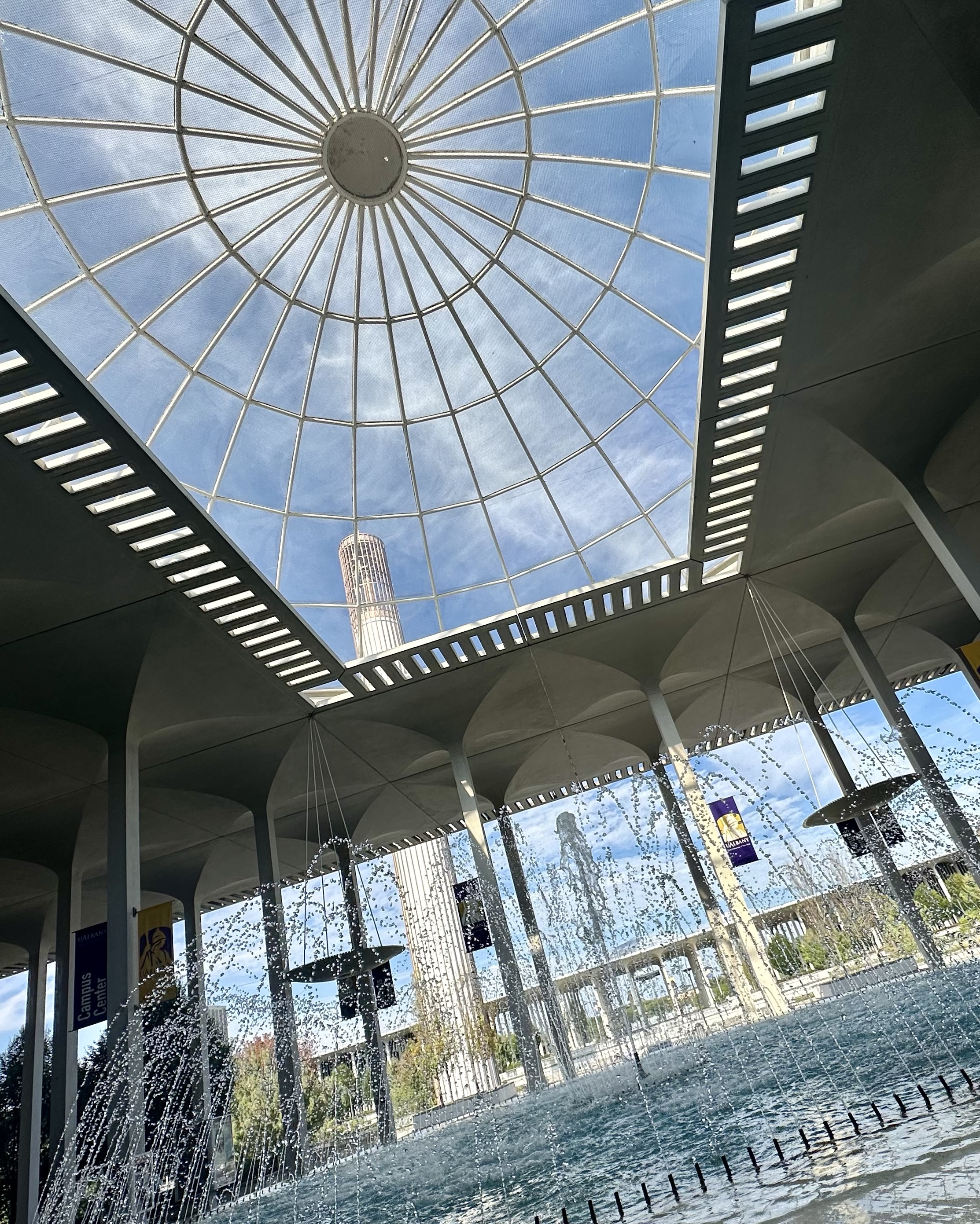 When We Remember How to Dream